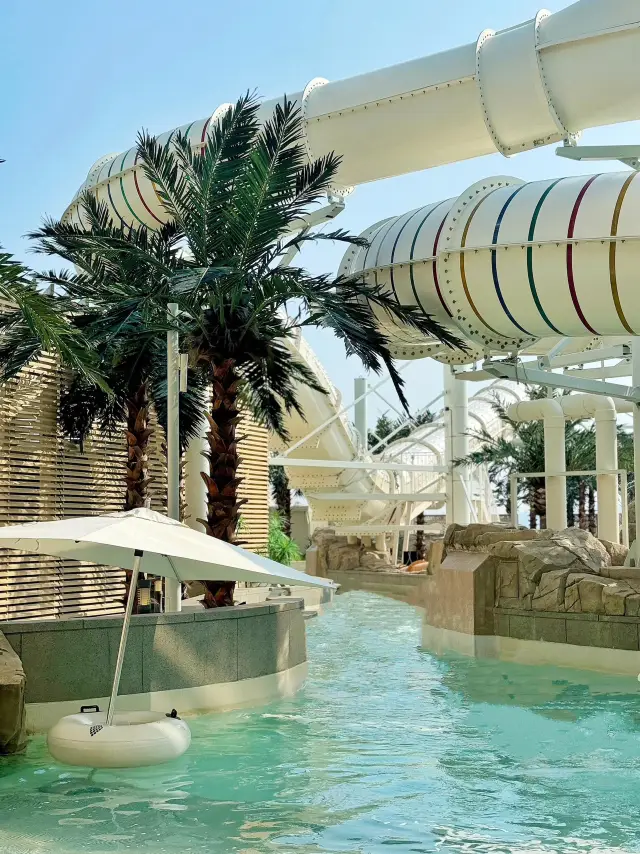 Wow! Club D Water Park in Busan is so much fun.