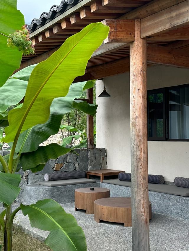 深圳後花園~一直好想斷捨離咁住喺山入面！