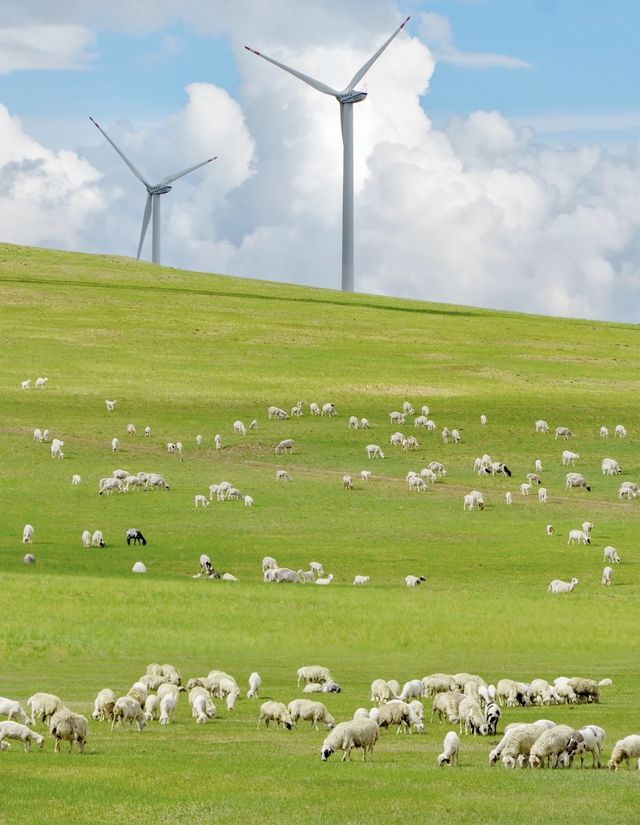 7日馳騁北國秘境！獨享風吹草浪壯闊景致