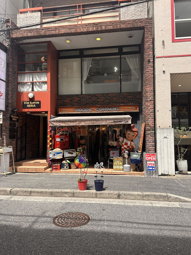 Hiroshima, An Underrated Gem In Japan! Perfect For Budget Travellers too 