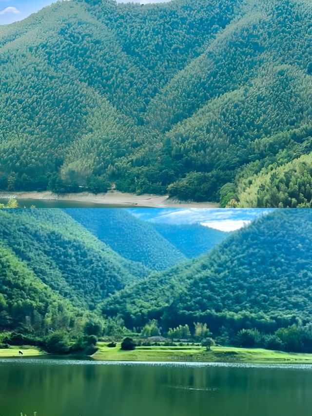唔好再搵新疆嘅平替啦！呢度係安吉小杭坑