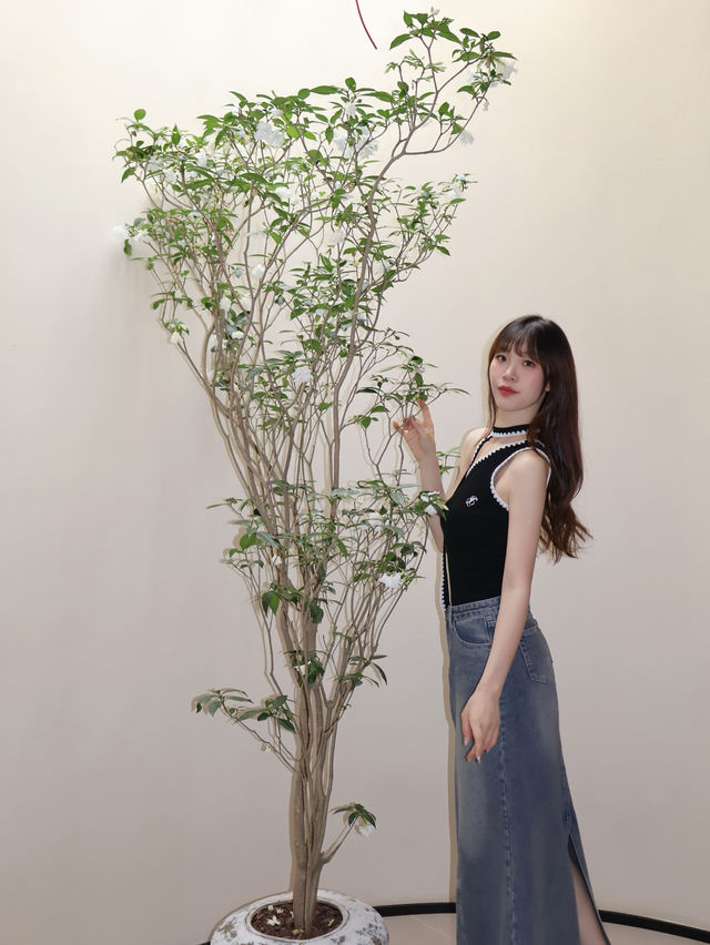 身心急需一場療癒SPA🩹