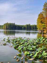Some places are too peaceful to be famous: Discover a Hidden Gem 40 min from Yiwu