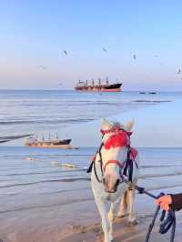 人均300特種兵旅遊