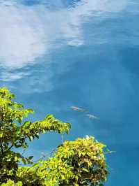 赴山水之約：風，吹皺了雲，也吹暖了心