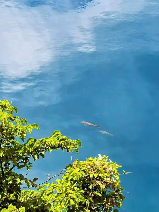 赴山水之約：風，吹皺了雲，也吹暖了心