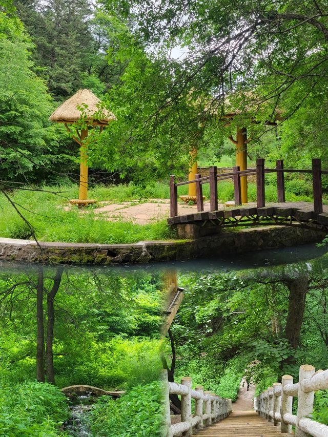黑龍江伊春丨6-7月淡季嚟真係好抵玩，人少景靚