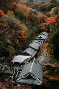 京都：在古建築與千年時光擦肩而過