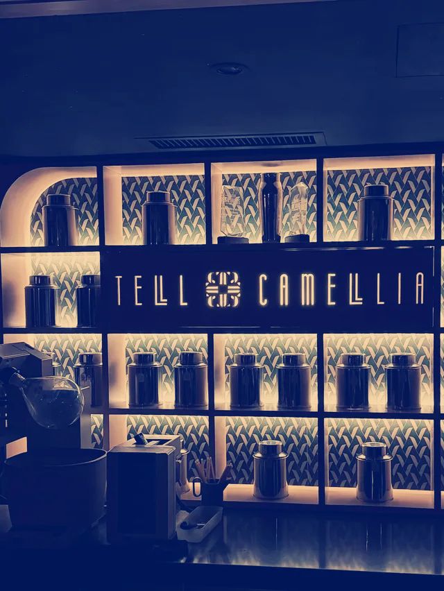 隱世秘境｜Tell Camellia：香港最詩意的微醺角落】**  