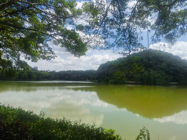 隱藏於白雲山麓嘅翡翠秘境
