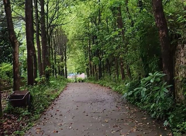 出遊拒絕人擠人！來貴州避暑旅居啦
