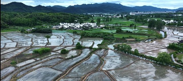 解碼徽州遺珠 | 迷宮祠堂、文藝田野與聯體古居