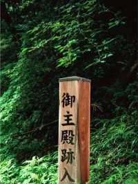  **【東京近郊の歴史探訪：八王子城跡で戦国時代を歩く】**  