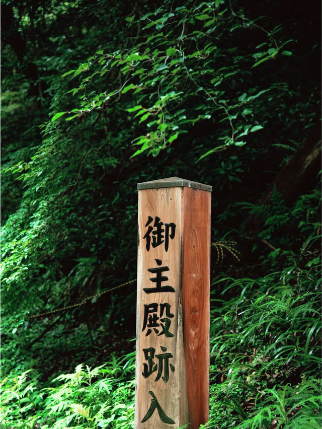  **【東京近郊の歴史探訪：八王子城跡で戦国時代を歩く】**  