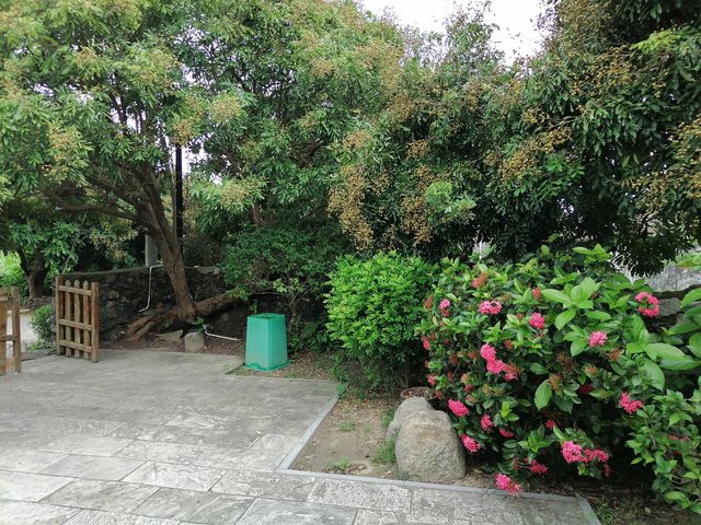 古村入畫|用畫筆留住時光的痕跡
