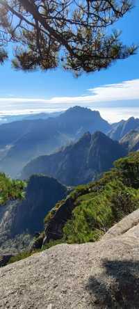 登一登黃山，睇迎客松