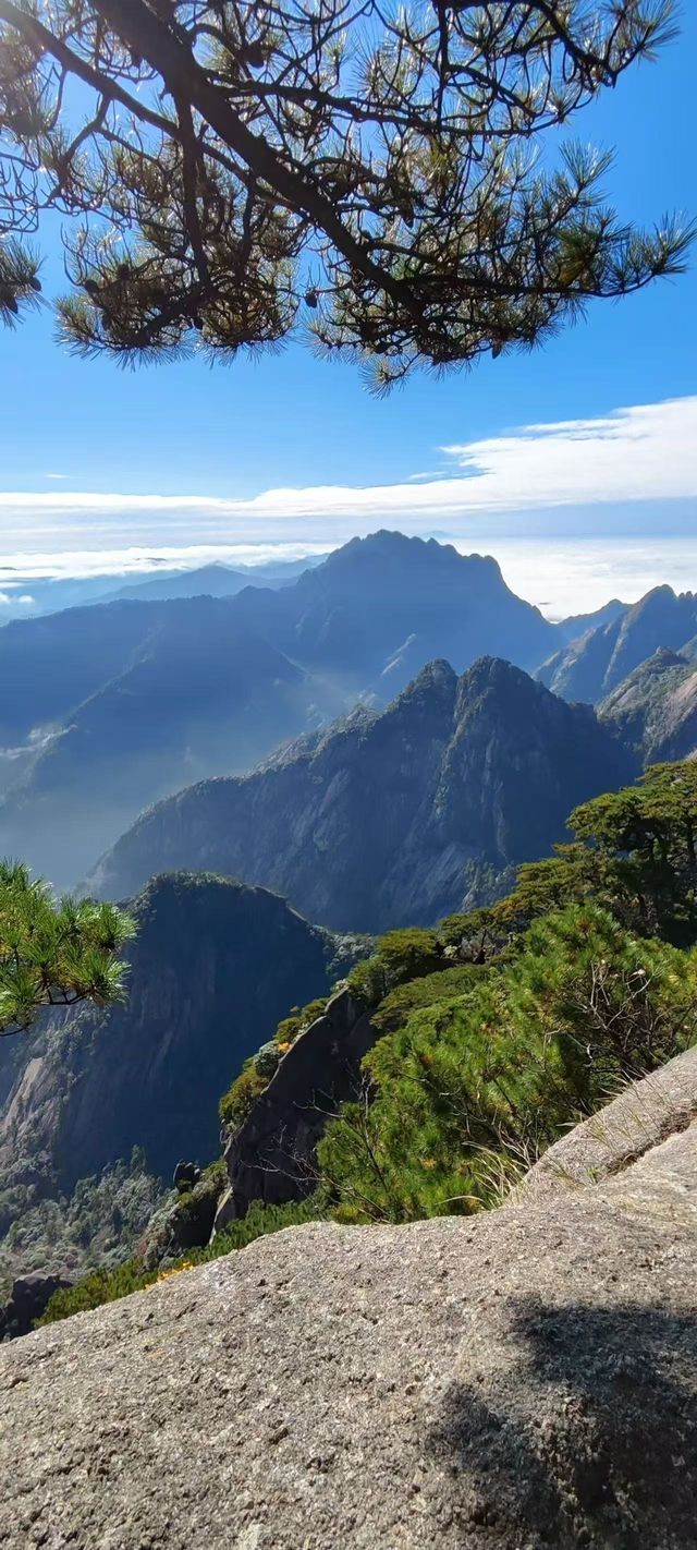 登一登黃山，睇迎客松