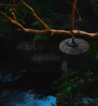 落雨必去！被園林茶室治癒嘅神仙時刻