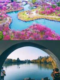 暫別城市，揚州嘅慢時光治癒夏日～