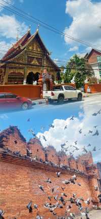 快跟住我嘅腳步，展開呢場泰蘭德奇幻之旅啦