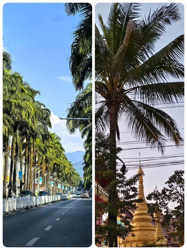 芒市、瑞麗、騰沖可攜寵景點 & 食住指南