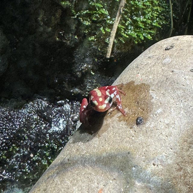 【カナダ バンクーバー】カナダ国内最大級の水族館🦭