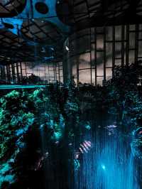 勇闖上海溫室花園夜遊，像阿凡達一樣在雨林探險