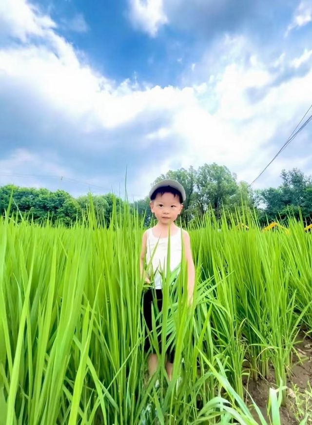 瀋陽週末親子遊不重樣｜耘艾農場全體驗