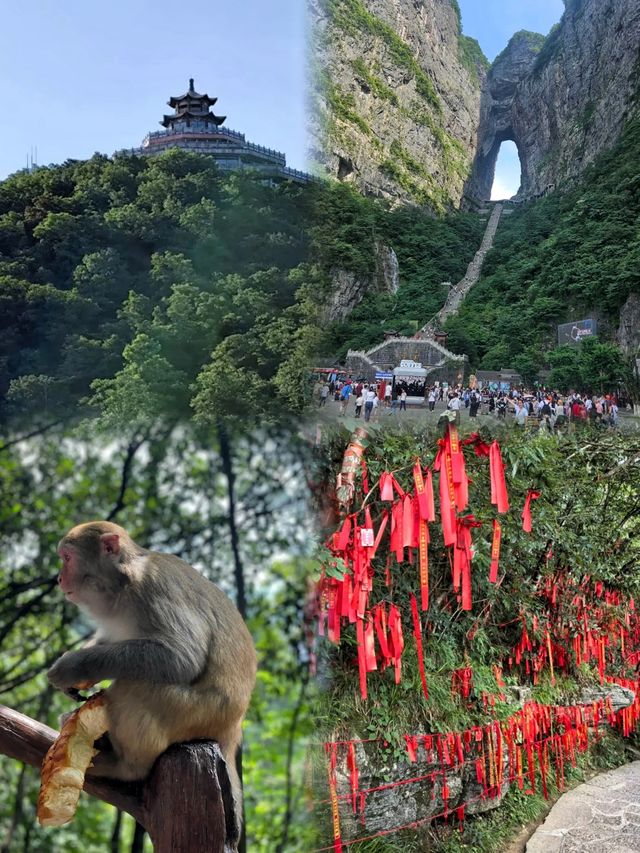 張家界×鳳凰古城避暑全攻略：親子狂歡嘅25℃清涼仙境