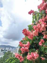 澳門小眾景點|俯瞰澳門市區新葡京絕美合影點