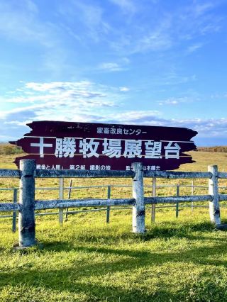 ถนนเบิร์ชและดินแดนแห่งกลิ่นหอมนม