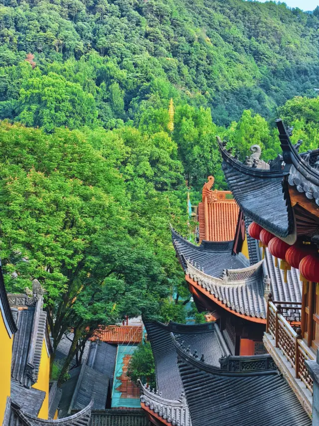 Hangzhou 3 Days 2 Nights Classic Tour Guide: Covering West Lake, Longjing, and Xixi All in One