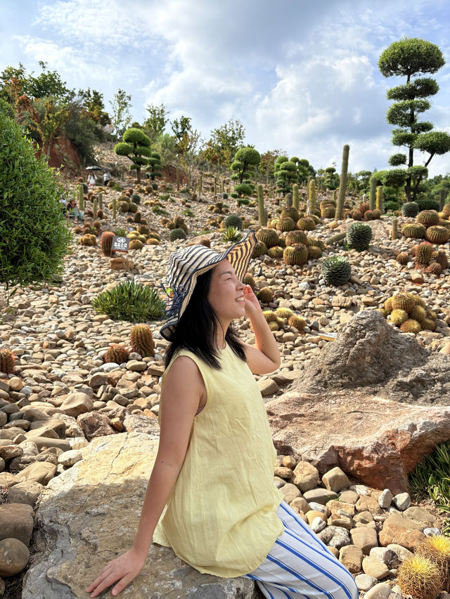 暑假親子遊|彌勒太平湖森林公園(附攻略) 暑假親子遊|彌勒太平湖森林公園(附攻略)