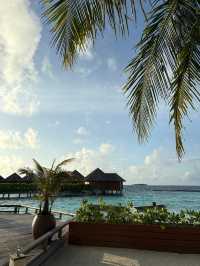 Paradise Found at Baros