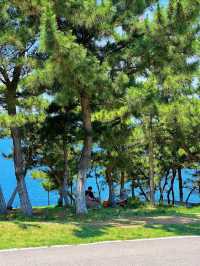 喂海公園旅遊攻略｜向海而生的城市秘境