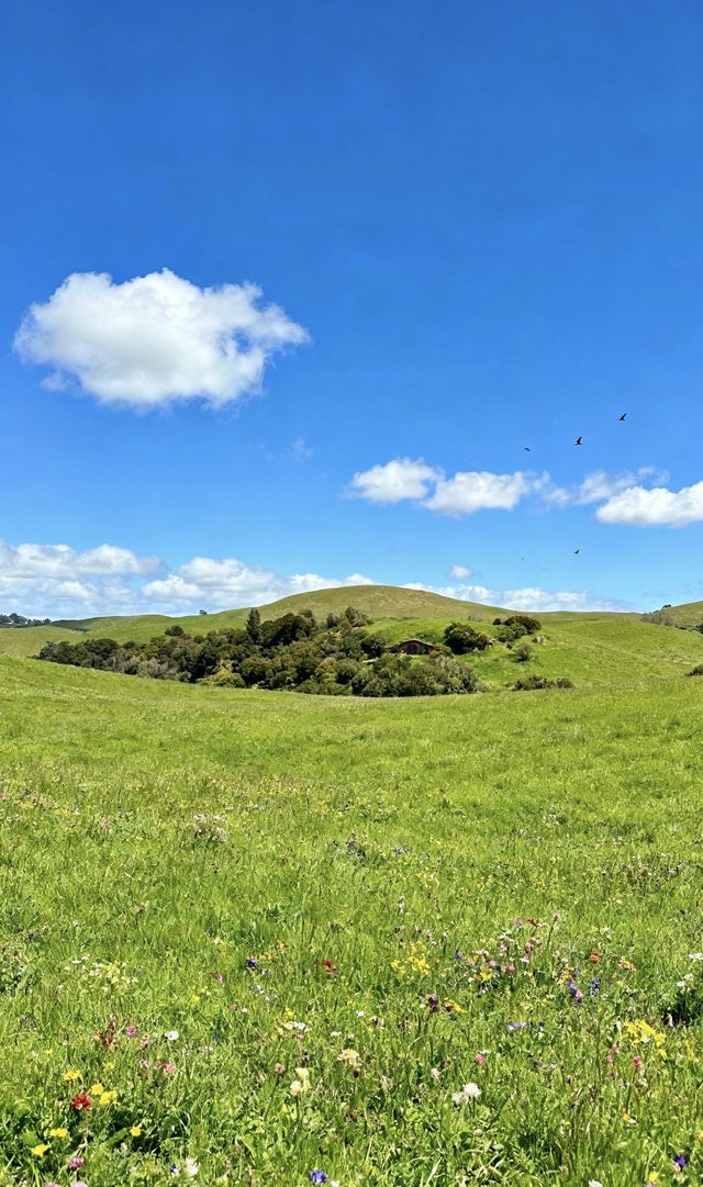 玩轉紐西蘭南北島超全攻略+私藏玩法大公開！