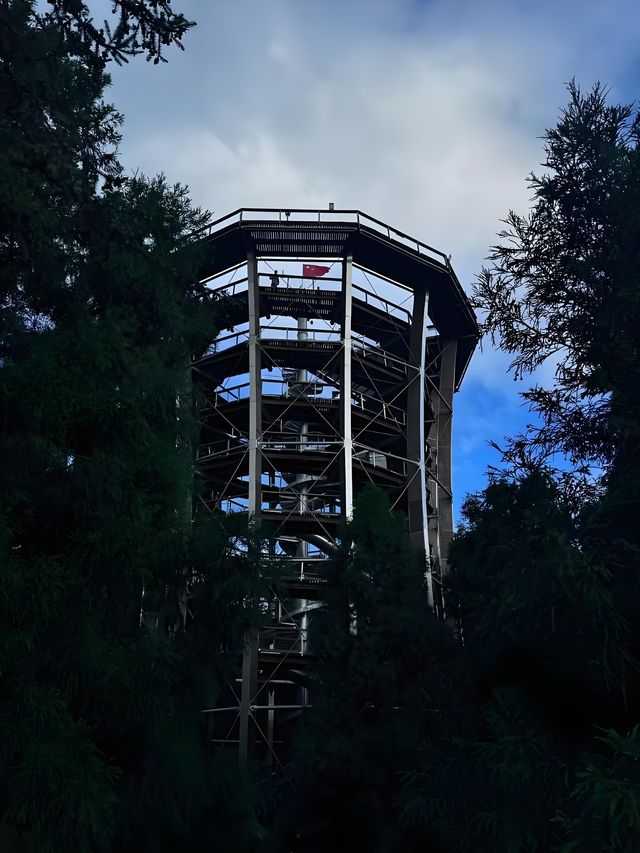 重慶仙女山自駕遊全攻略尋找那片洗滌心靈的綠野仙蹤