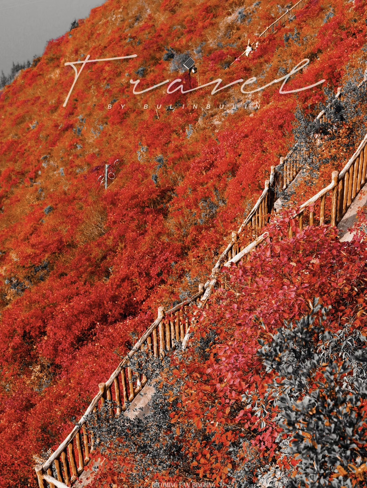 I chose FunGee Joyful River View Hotel for this trip to Chongqing for a simple reason: the location is super convenient, close to Hongya Cave and Liberation Monument Pedestrian Street. The hotel service is courteous, and if you are breakfast-conscious, want to do laundry and do not want trouble, this is certainly for you!

The hotel is located on the 21st floor of Building C of Goldman Sachs Creative Wealth Center on Binjiang Road. A few steps from the hotel to Hong Ya Cave, the 22nd floor leads directly to Kuixing Building. In addition to the Liberation Monument business district, there are many must-see attractions in Chongqing nearby - food streets, cultural and creative shops, pedestrian streets and everything. In terms of transportation, it is very convenient to go to the MTR station and bus station.

Breakfast really has to be praised! Chongqing noodles are served every morning, freshly cooked and delivered, with rich dishes to choose from, and breakfast is served until 1pm, sleep until you wake up naturally without fear of hunger. The hotel also offers free laundry and drying services, so you don't have to worry about changing clothes for a long stay or a multi-day trip. There are plenty of smart amenities in the room: voice control, free drinks, a small fridge, and popcorn, ice cream and good night porridge for a comfortable and ceremonial stay.

In terms of hygiene and service, the hotel staff has been very enthusiastic and attentive, any need they are quickly resolved. The environment is clean and quiet, especially suitable for families, couples or those who prefer a leisurely life. However, a small number of guests reflect average sound insulation, those who request can check with the hotel in advance.

Itinerary tips: If you plan to go from Chongqing to Wushan to see the red leaves, you can arrange this, the following in English convenient for foreign friends or use English information to find the strategy:

重庆到巫山红叶路线攻略：
The most recommended way is to take the bullet train (high-speed rail) from Chongqing North Railway Station to Wushan County. The journey takes around 3 to 4 hours. Once you arrive at Wushan, you can take a local taxi or tourist shuttle to reach the scenic spot of Red Leaf Valley (Hongye Gu). The best season is from late October to mid November when the leaves are at their reddest, so plan your trip accordingly高速直达巫山，约4.5小时，路线风景优美，但包含山路，小心开车，尤其旺季周末。

Booking Tip: FunGee Joyful River View Hotel is usually more popular during peak season, and it is recommended to book more than three weeks in advance, especially during the autumn leaf season. When choosing a hotel around the Liberation Monument business district, it is best to choose a room type close to the subway and with a view outside the window. Ask about the room specifications and soundproofing status before booking. There is a big temperature difference between morning and evening in Chongqing. When hiking or seeing red leaves, you should keep warm. Remember to bring a thin jacket.

#Chongqing #Hongyadong Hotel Recommendation #Jialing River Night View #Itinerary Guide #Wushan Autumn Leaves #Free Travel Tips