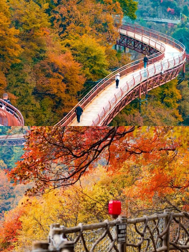 1.5h溜出西安直達少華山看漫山紅遍