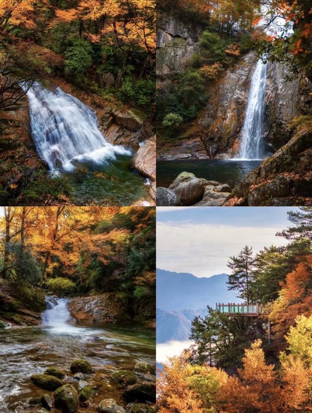 光霧山紅葉瘋了！這680平方公里的秋景美到爆