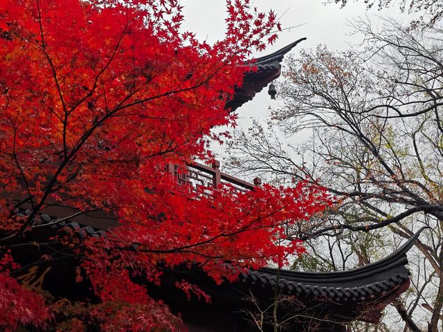 南京棲霞山看棲情萬種