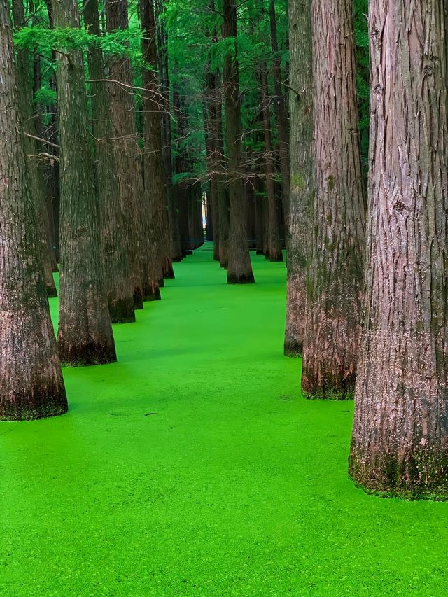你體會的都是景，我體會的都是心中的靜
