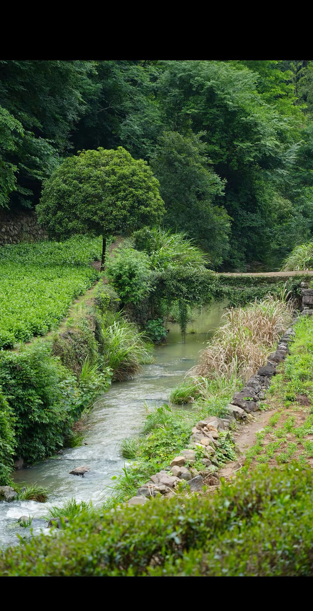 陰雨天韓妃江古道徒步攻略 | 秘境打卡&路線指南