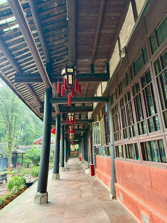 樂山峨眉漫步記