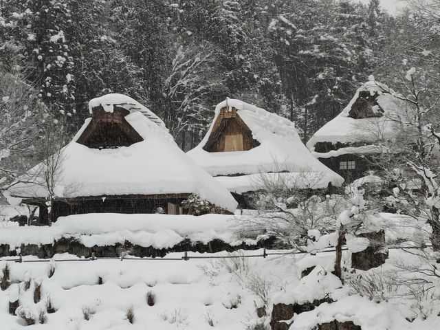 飛驒民俗村的那場大雪