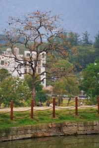 武漢2h自駕「中國甜柿第一村」的賞秋攻略