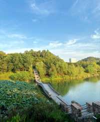 跑遍長沙公園⑥|尖山湖公園:高新區打工人的週末活力寶藏地