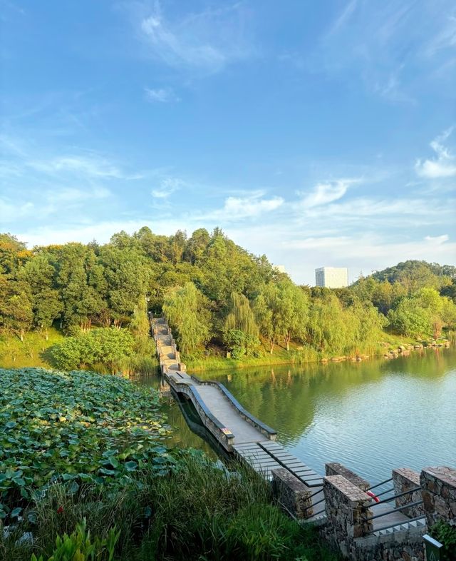 跑遍長沙公園⑥|尖山湖公園:高新區打工人的週末活力寶藏地 跑遍長沙公園⑥|尖山湖公園:高新區打工人的週末活力寶藏地