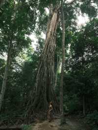 高鐵直達東南亞被嚴重低估的世遺小城