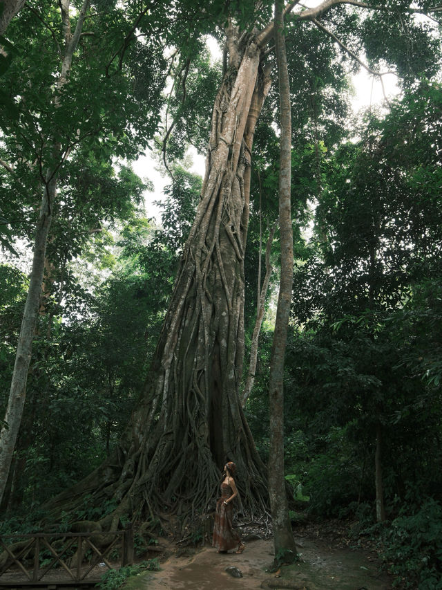 高鐵直達東南亞被嚴重低估的世遺小城 高鐵直達東南亞被嚴重低估的世遺小城